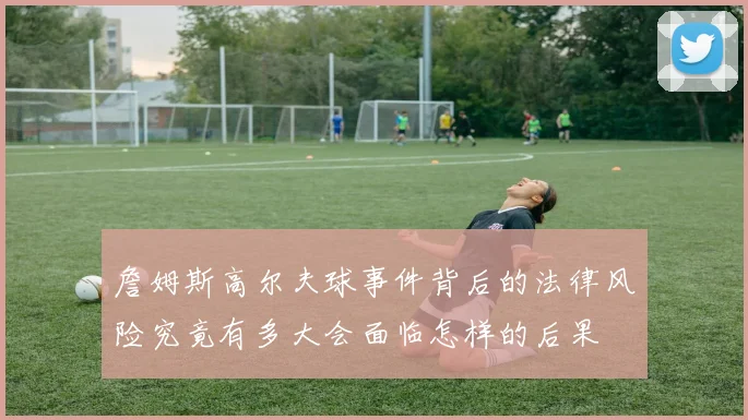 詹姆斯高尔夫球事件背后的法律风险究竟有多大会面临怎样的后果